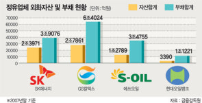 <삭제요망>환천석유 자산주유소 | 정유사 환차손 ‘눈덩이’
