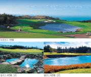 [골프투어] 롯데스카이힐제주CC