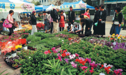 서초구 꽃축제，“온갖 꽃 다 모였네”
