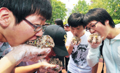 맛있는 ‘한우사랑 주먹밥’