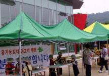 오가원, 김치 담그기 체험
