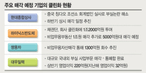 ‘백조’로 거듭 난 부실기업