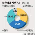 대한생명 내년 상장후 사명 바뀔듯