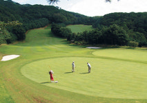 경기 용인 양지파인GC 주중특별회원 한정모집