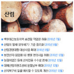 [농산어업 살리기] 산림―최대 벌채면적 50㏊로..소득 향상 기대