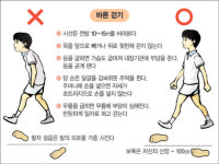 걷기만 하면 허리 튼튼해진다？