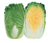 배추·채소값 뛰자 주말농장 인기↑