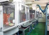 “축산이 지구온난화 주범이라니..”..UN보고서 반박