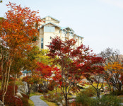 곤지암리조트 가을패키지 출시