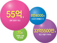 숫자로 알아본 ‘2010 경매시장’