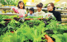 “상추·치커리 직접 길러 먹어 보세요”
