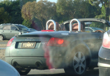 “맛있다”에서 “독도는 우리땅”까지…다양한 차 번호판