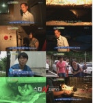 동물농장 시멘트 벽에 갇힌 새끼 고양이 극적 구조