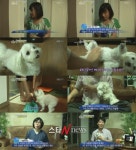 동물농장 로또, 외모+지능+애교 천재견 종결