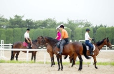 부산.울산.경남에도 ‘승마바람’ 분다
