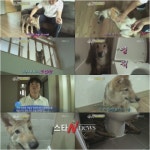 동물농장 늑대개, 야생의 본능 숨길 수 없어!