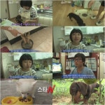 동물농장 채식주의 강아지, 고기는 본체만체 복순이 눈길