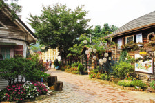 메밀꽃 필 무렵 떠나는 국도 여행