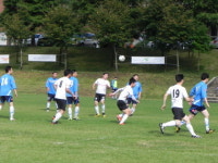 안경사 ‘하나되는 행사’ 다채