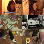 ‘동물농장’ 청각장애견 쭌쭈, 소리 두려움 없어 집안 어질러