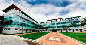 [진화하는 사이버대학교] 원광디지털대학교/주일경 대외협력실장