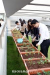 SK케미칼, 환경의 날 맞아 텃밭가꾸기 행사