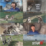 동물농장 못난이 펭귄 백연, 드디어 모태솔로 탈출!