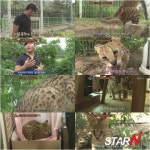 ‘동물농장’ 맹수 치토순, 고양이 강아지에게 시달려 ‘대체 왜?’