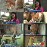 ‘동물농장’ 어미잃은 새끼 고양이 나비, 강아지에게 집착 ‘아련’