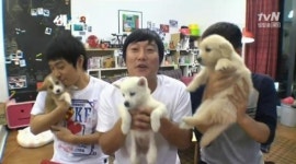 세 얼간이 ‘잘못된 만남’ 맞춰 노래방 새우과자 먹기 ‘도전’