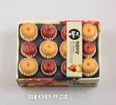 롯데마트 “올 설 배보단 혼합세트, 갈비보다 정육세트”
