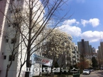 ‘3修’ 과천주공2단지 재건축, 찬반 갈려 이번에는?