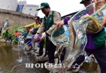 서초구, 전격모기박멸대작전 개시