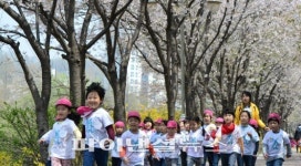 서초구, 꿈나무 튼튼 한마당