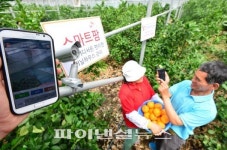 SK 텔레콤 스마트팜