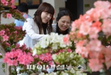 서초구 철쭉분재 전시회