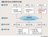 금감원, 금융정보 종합 리스크 대응 나선다