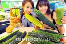 홈플러스 “여름 웰빙야채 ‘여주’를 아시나요”