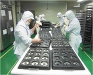 [주목받는 명품기업] 에스알씨，칼슘 첨가 ‘미트볼’로 급식업계 선도기업 ‘우뚝’