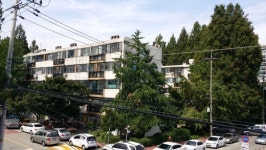 [현장르포] 재건축 사업 속도내는 강남 ‘개포지구’