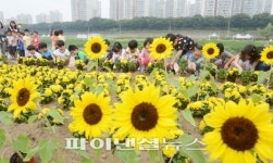 가을 꽃밭 가꾸는 어린이들