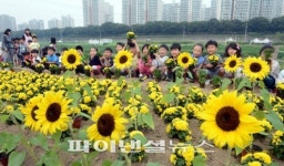 가을 꽃밭 가꾸는 어린이들