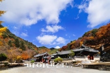 [한국관광 100선] (11) 천년의 고찰 합천 ‘해인사’