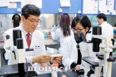 화순전남대학교병원, 다발골수종 환자 함암면역세포치료제 임상시험
