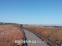 국토디자인대전 최우수상 수상 1년...양양 ‘남대천 생태공원’ 가보니