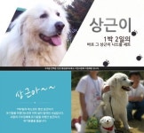 상근이 근황, 유기견 돕기 행사 참여 ‘여전히 귀여워’