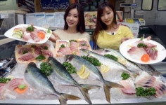 후기