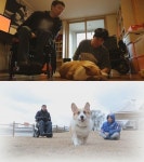 강원래 반려견 똘똘이, 시한부 선고에 “가슴 미어지지만...”