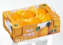 한라봉 등 만감류,오렌지 매출 역전했다