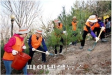 한화무역, 식목일 맞아 잣나무 심기 봉사